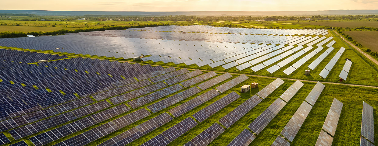 Aerial view of large sustainable electrical power plant with many rows of solar photovoltaic panels for clean ecological electric energy at sunrise